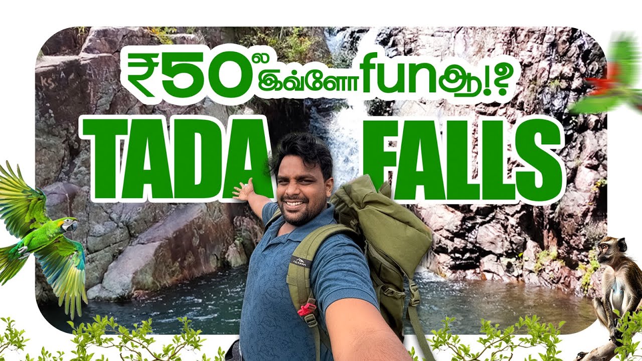 Best Budget Trek to Tada Falls &ndash; Fun Under ₹50! | Tada Waterfalls Adventure 🌿💦