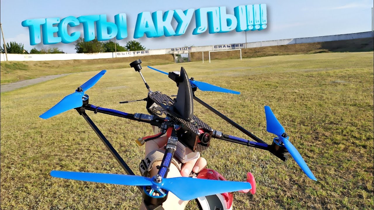 тесты акулы