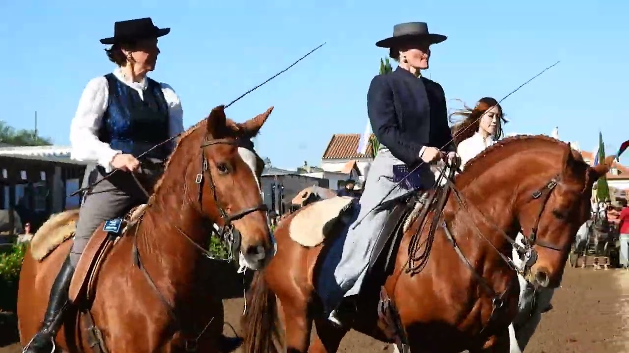 🐎Golegã 2022 Feira do Cavalo