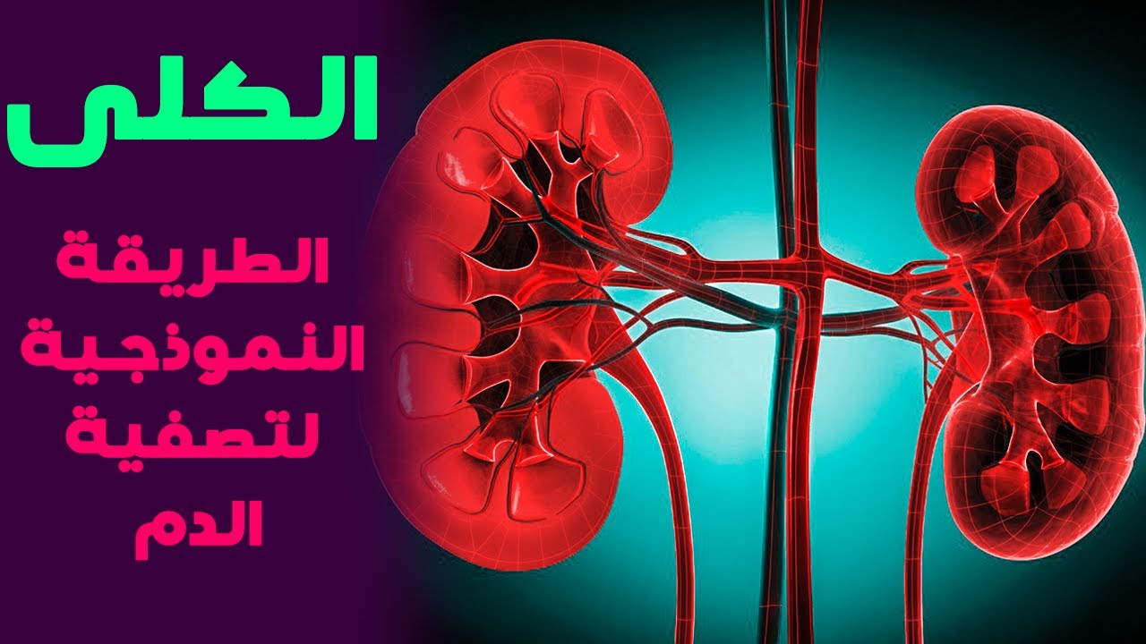 الدور الخارق للكليتين في جسم الانسان