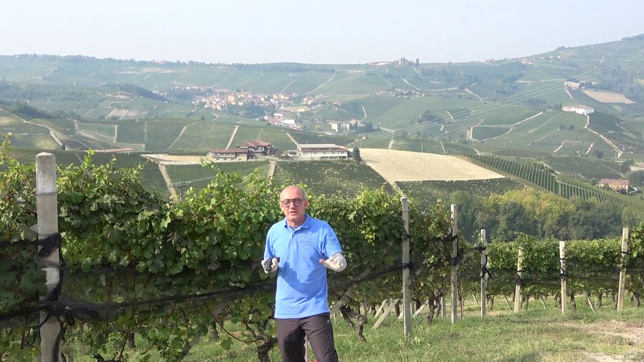 Ceretto - Barolo Classic 2016