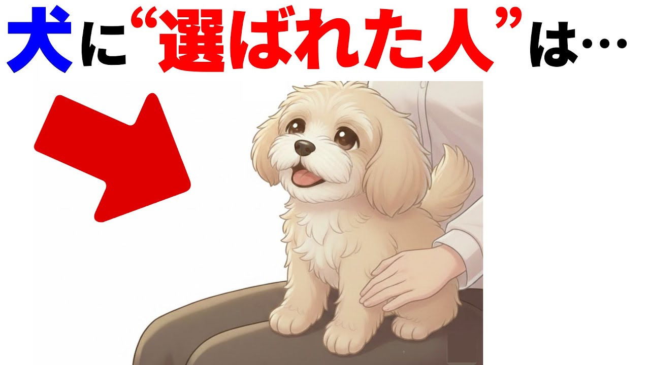 【犬の雑学】愛情より深い?!、命を預けるサイン