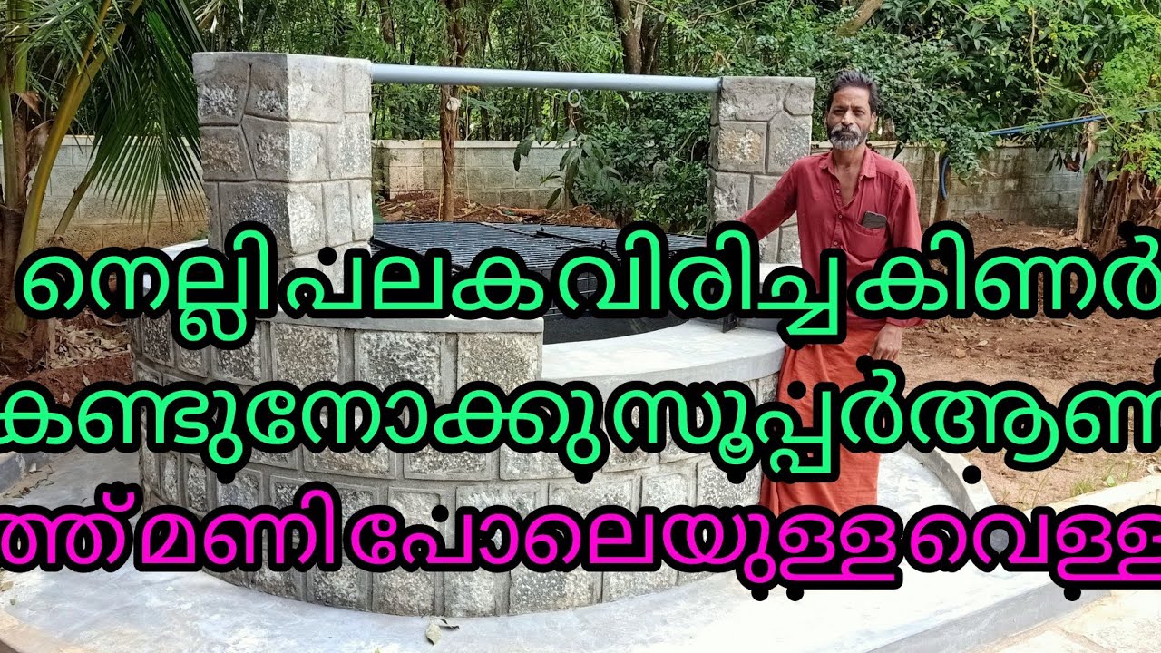 നെല്ലിപ്പലക വിരിച്ച കിണർ