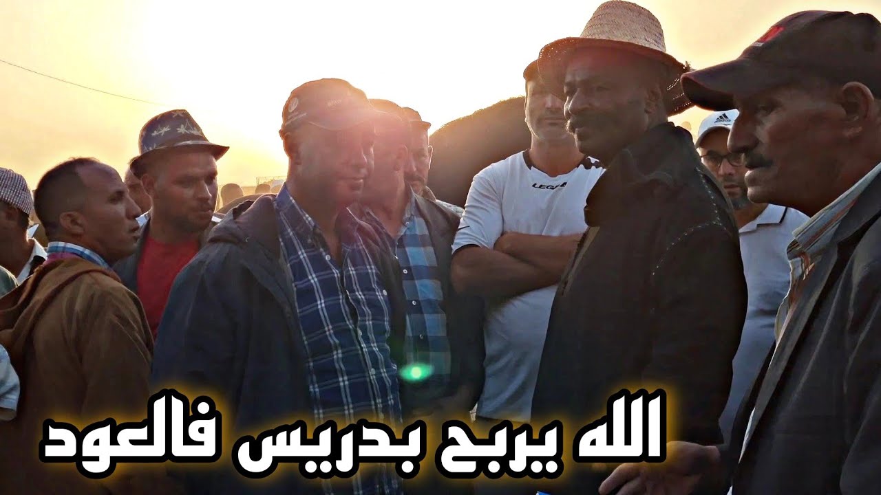 أجيو تشوفو معانا محاولة الشراء 🐴 على المباشر من سوق الخميسات 😍😍💯