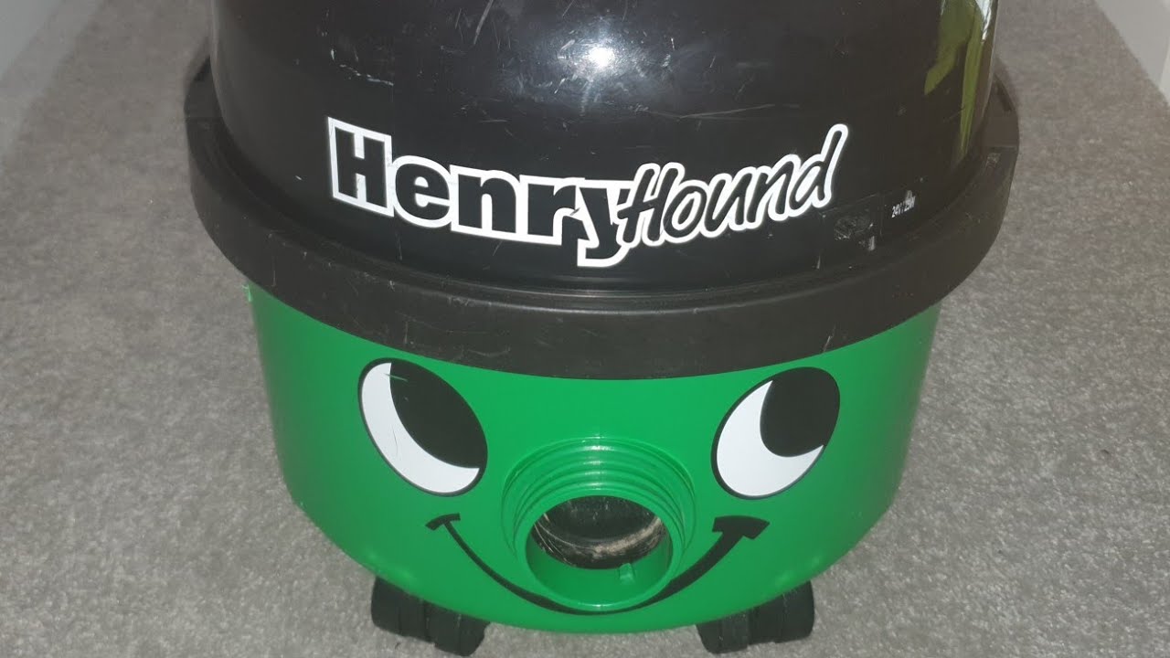 Numatic Henry Hound Mess Test