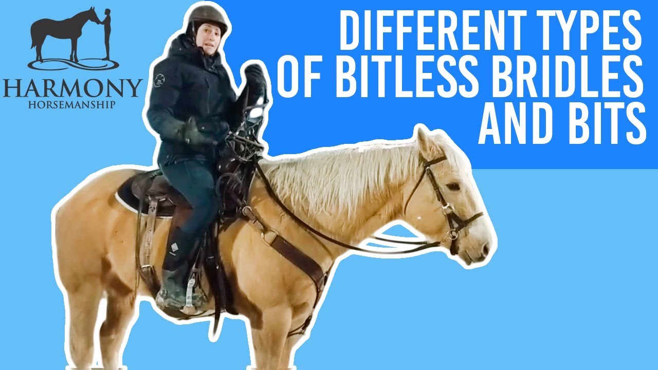 Pros and Cons of Different Types of Bitless Bridles and Bits