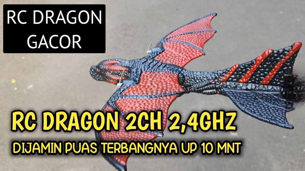 LAPOR KETUA - RC Naga 2,4 Ghz 2 Channel Tahan Banting sedang GACOR