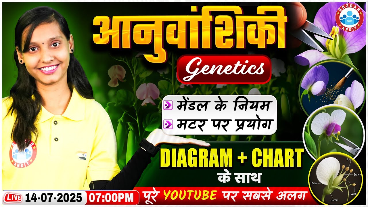 Class 12 Biology Genetics One Shot | आनुवांशिकी | मेंडल के नियम + मटर पर प्रयोग | Diagram + Chart