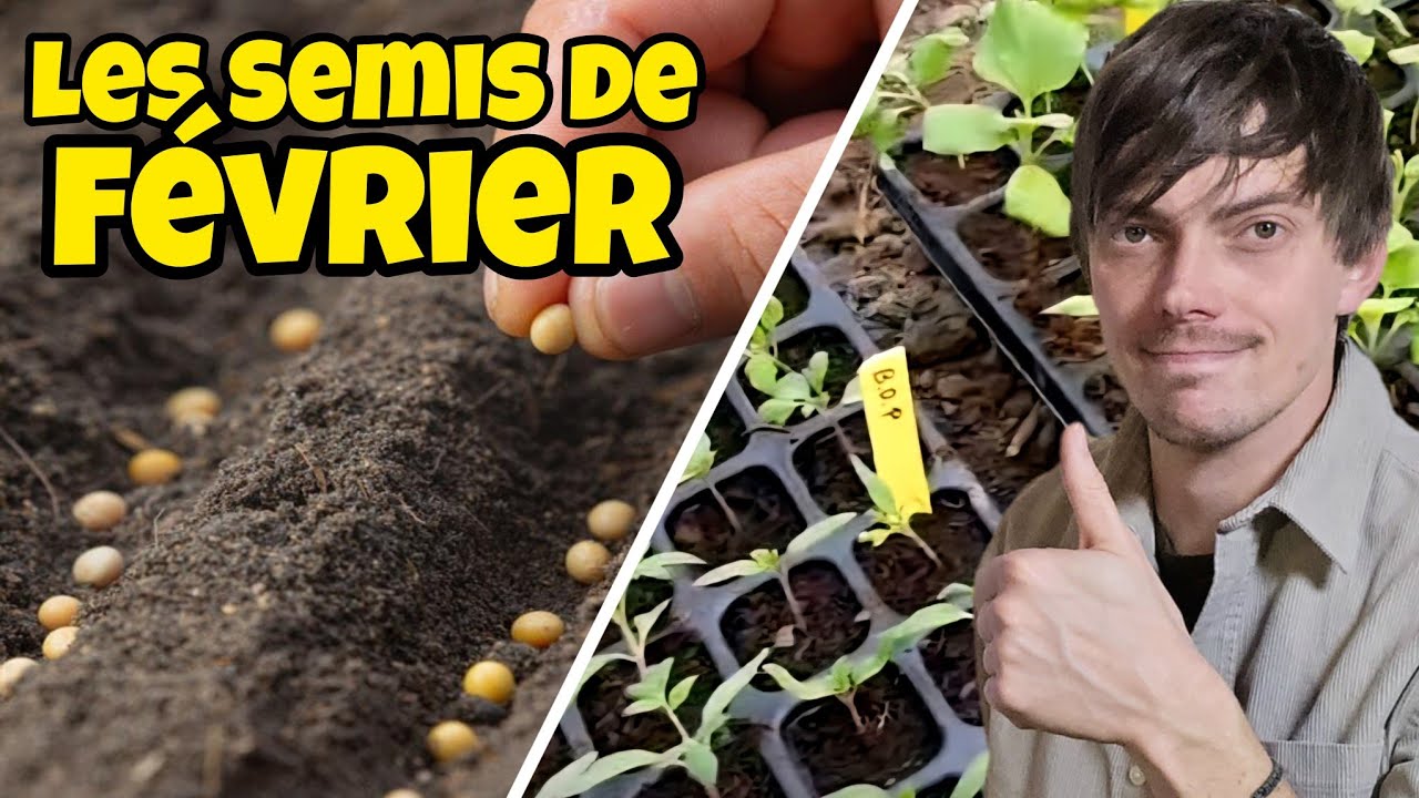 Février le MEILLEUR mois pour ces 9 SEMIS au potager