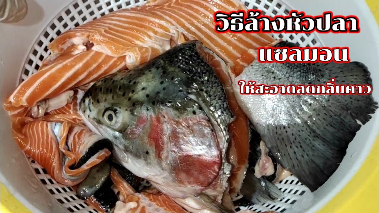 วิธีล้างทำความสะอาดหัวปลาแซลมอน ล้างยังไงไม่ให้เหม็นคาว ล้างยังไงให้สะอาด