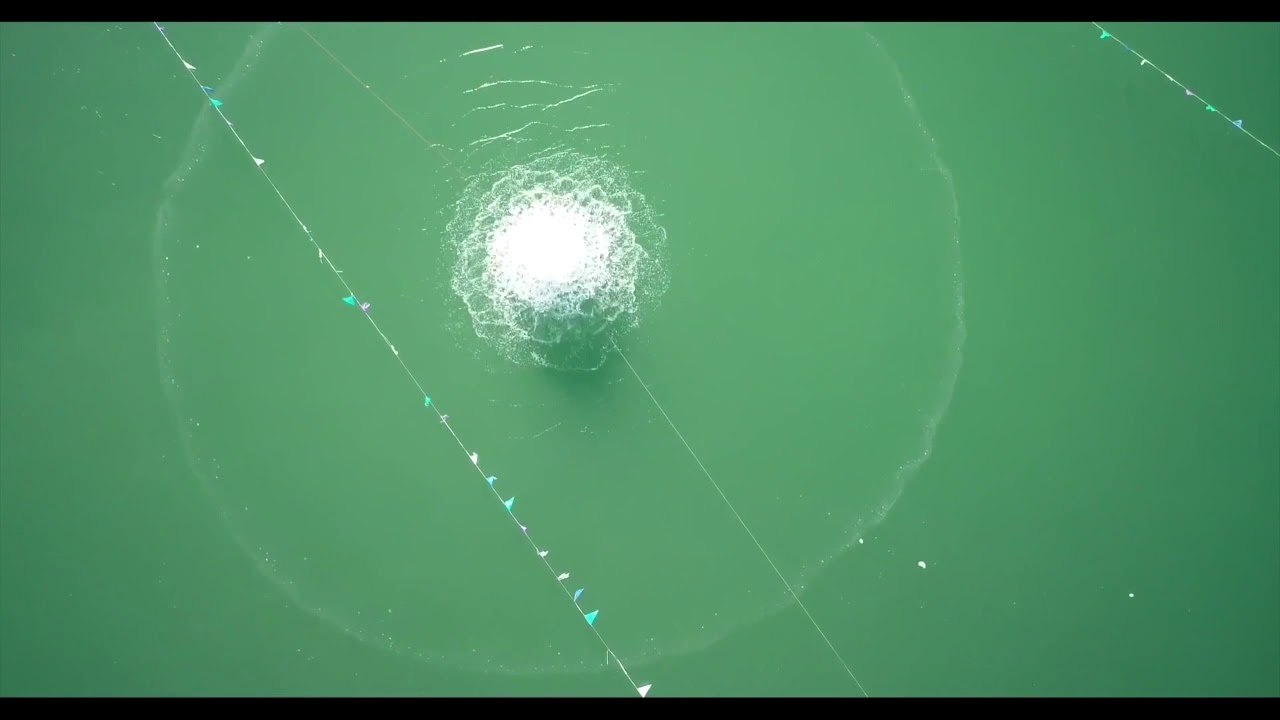 splash 2001 circulation effect