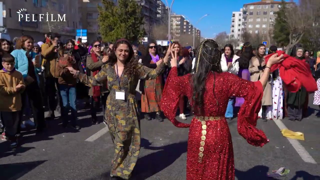 8Ê ADARÊ - AMED (2026)