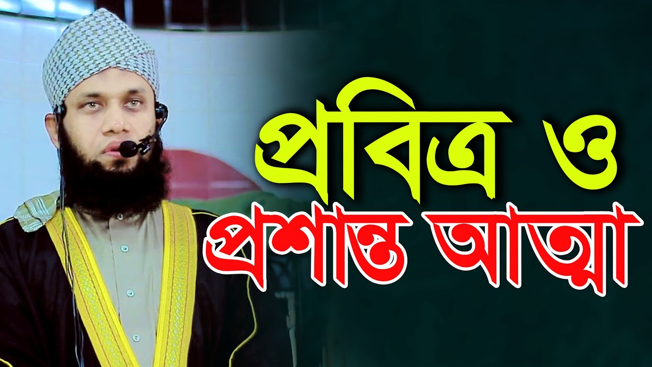 পবিত্র ও প্রশান্ত আত্মা মুফতী মাওলানা দেলাওয়ার হুসাইন চাটগামী Mufti Delawar Hosain Chatgami