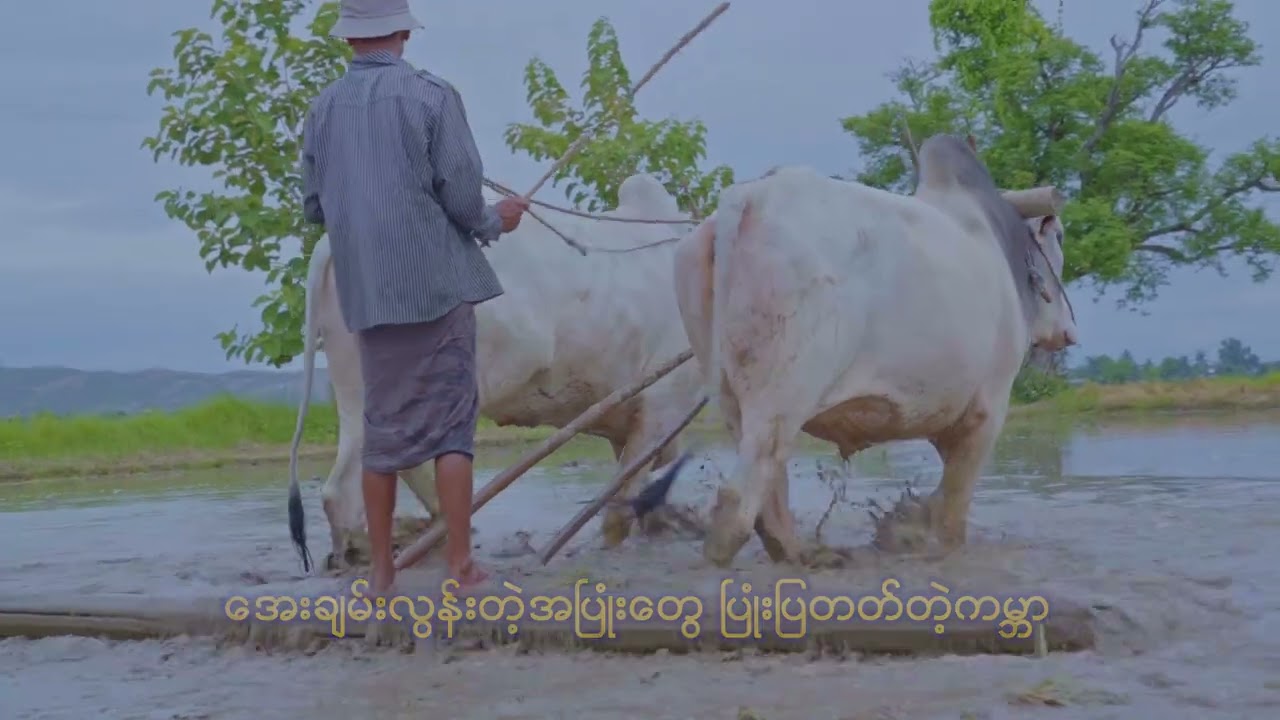 ဤမြေကိုသက်သေတည်၍ တေးဆို ဘဝ