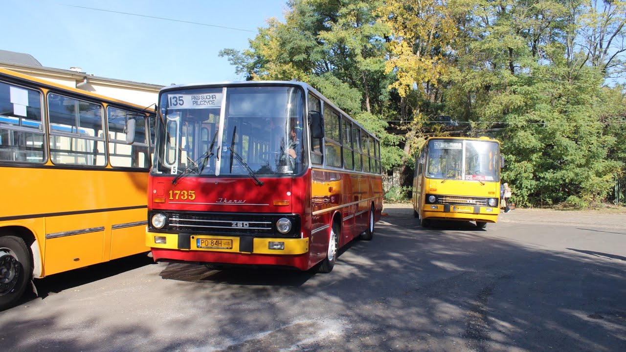[🇵🇱PL] MPK Poznań (Wrocław) - Ikarus 260.04 #1735 - [🚍135➡️PILCZYCE]
