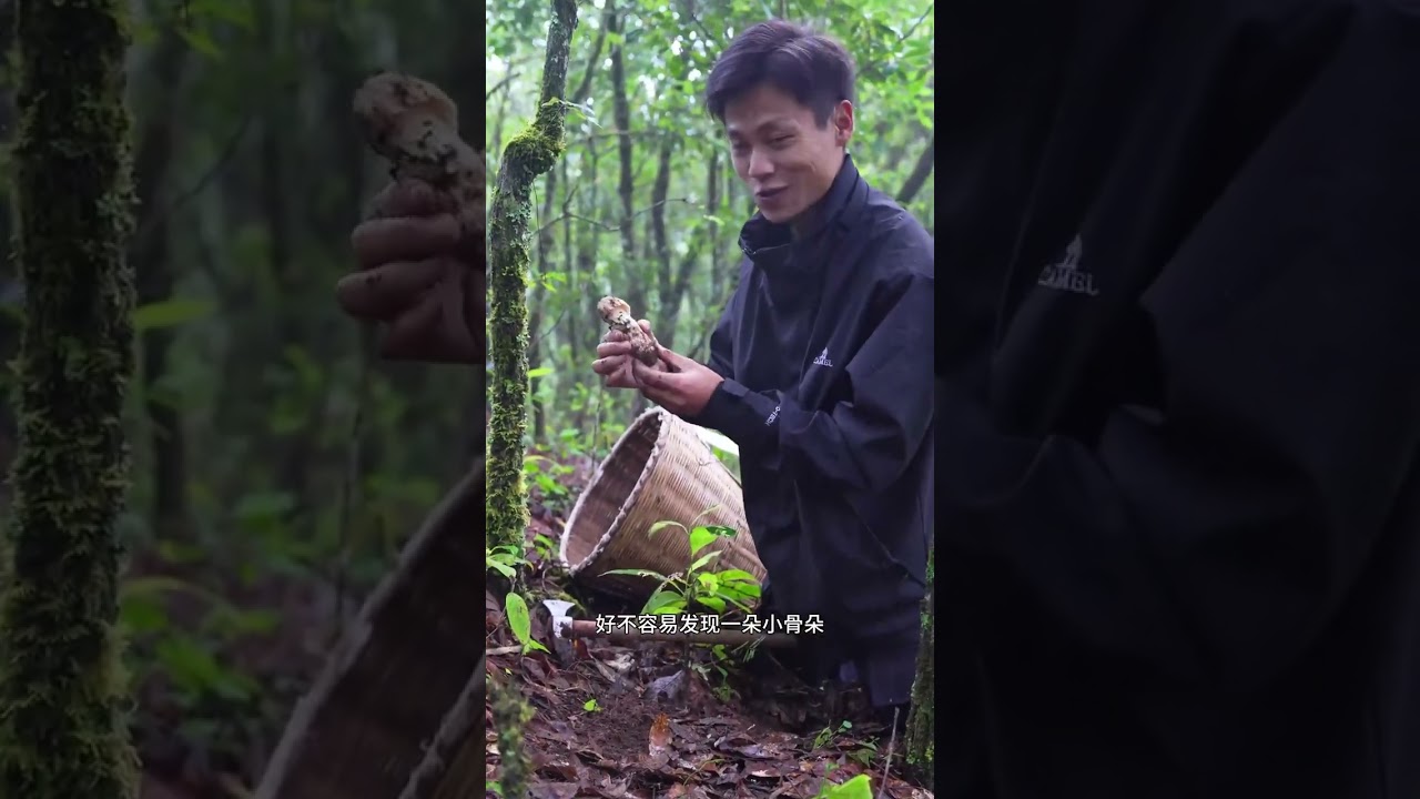 靠打野来个荒野求生，在普洱的大山你能挑战成功吗