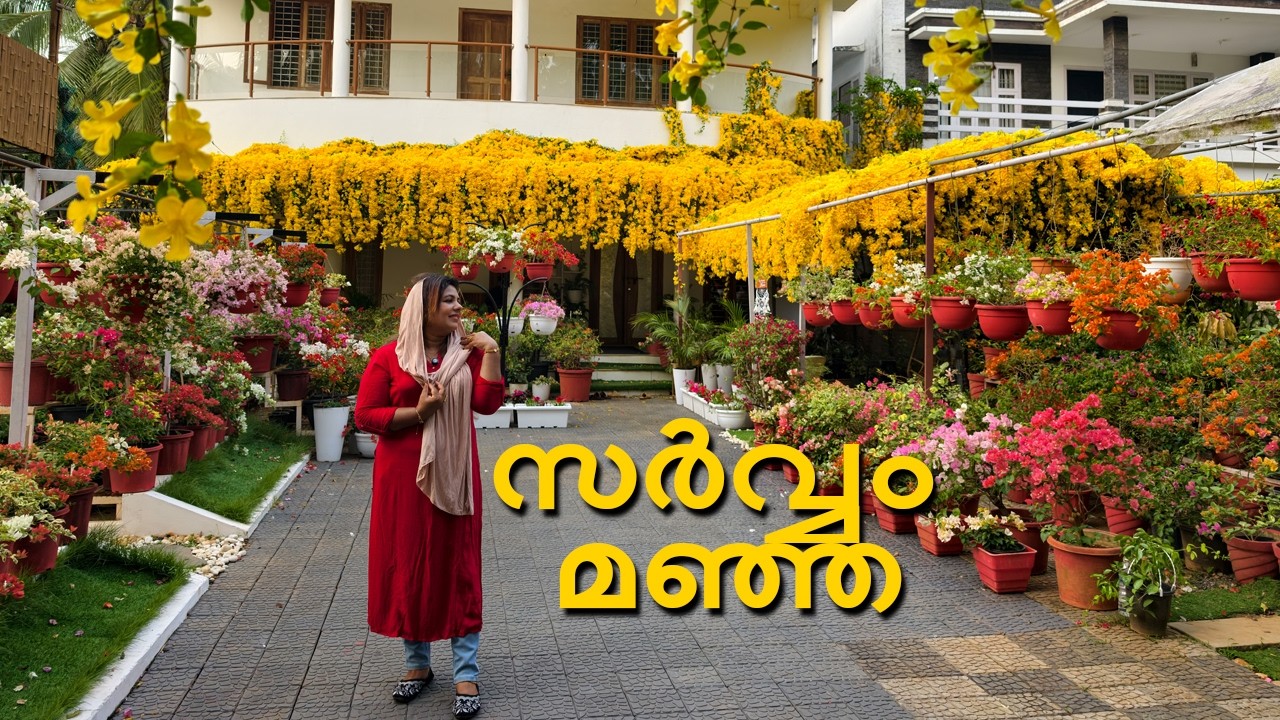 മഞ്ഞ പട്ടുപുതച്ചു നമ്മുടെ ഞെട്ടിക്കൽ ഗാർഡൻ നമ്മളെ വീണ്ടും അതിശയിപ്പിക്കുന്നു l 2026
