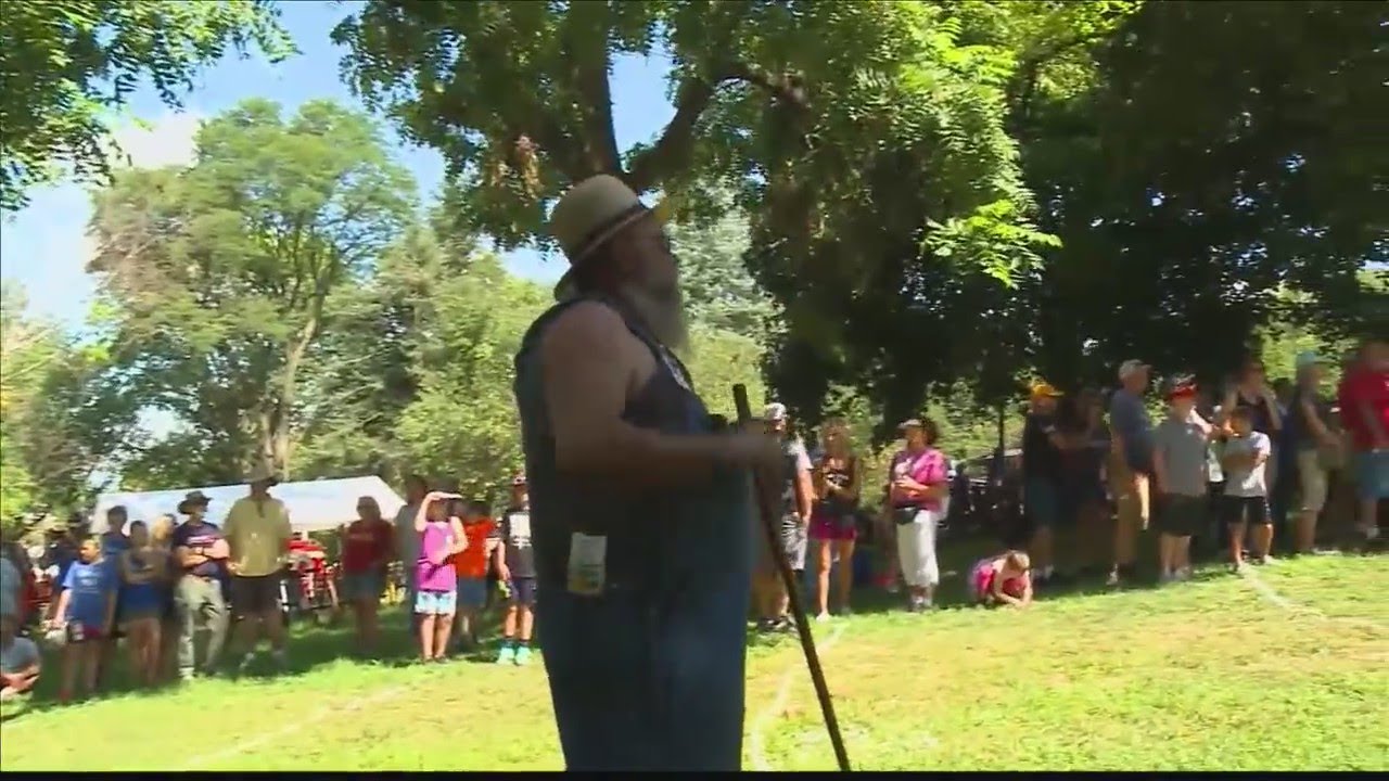 Cow chip throwing contest