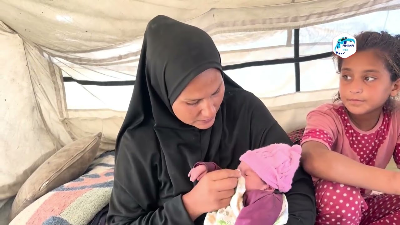 آلاء شبات وأطفالها الستة: قصة العيش داخل 