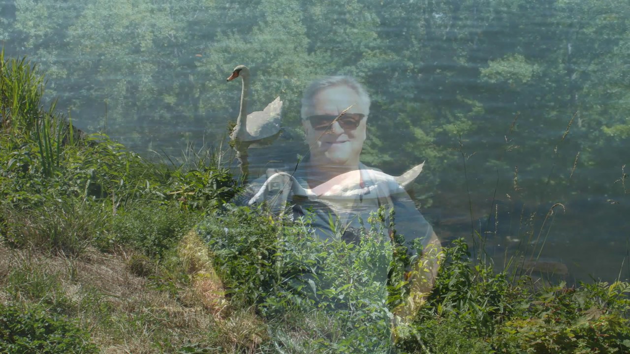 Wanderung am Kaiserstuhl, Burkheim Rhein und Rheinauen