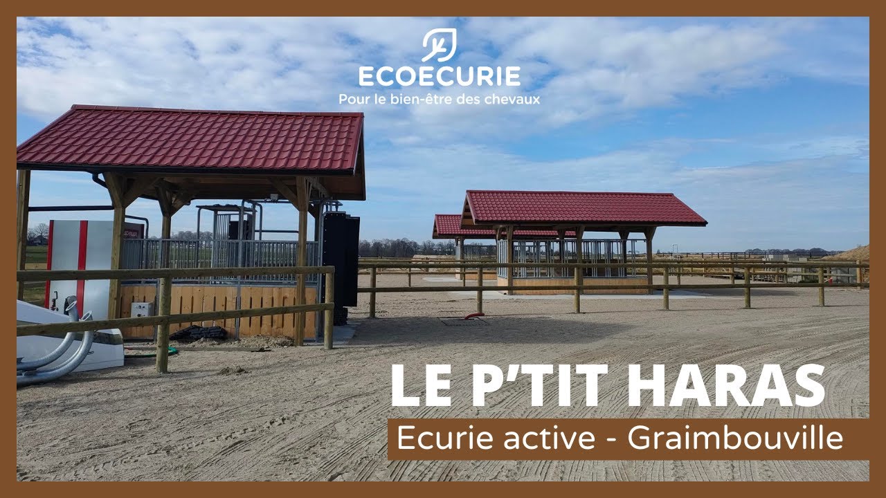 Le concept de l'écurie active : visite de l'écurie Le P'tit Haras à Graimbouville