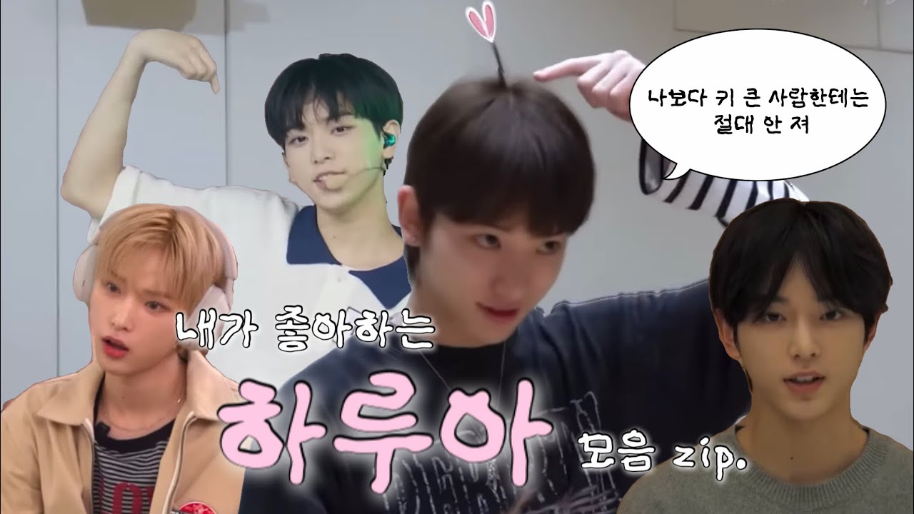 [앤팀] 내가 좋아하는 하루아 모음 zip.  