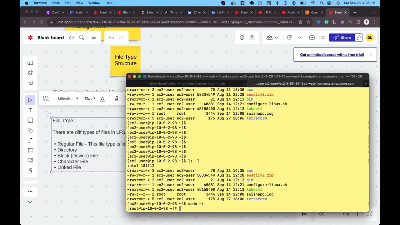 Linux File Types and Vim Editor | DevOps Training