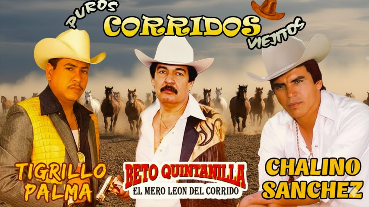 Chalino Sanchez, Beto Quintanilla y Tigrillo Palma Mix Para Pistear || Corridos Viejitos Mix 2026