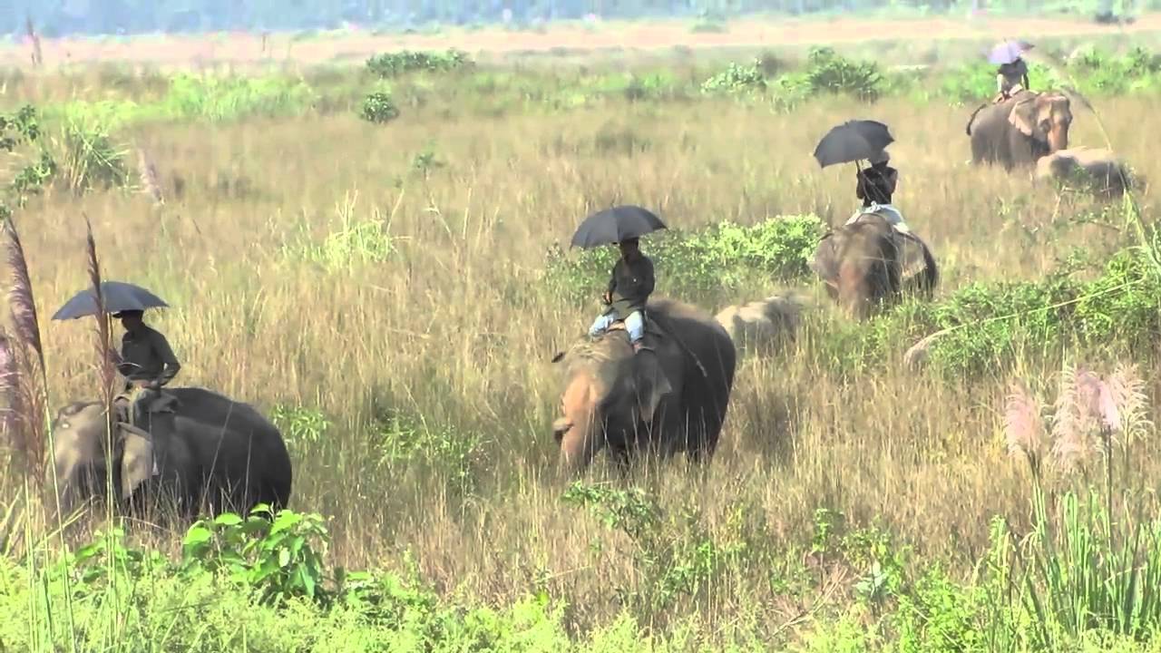Chitwan National Park and Sapana Lodge, Nepal