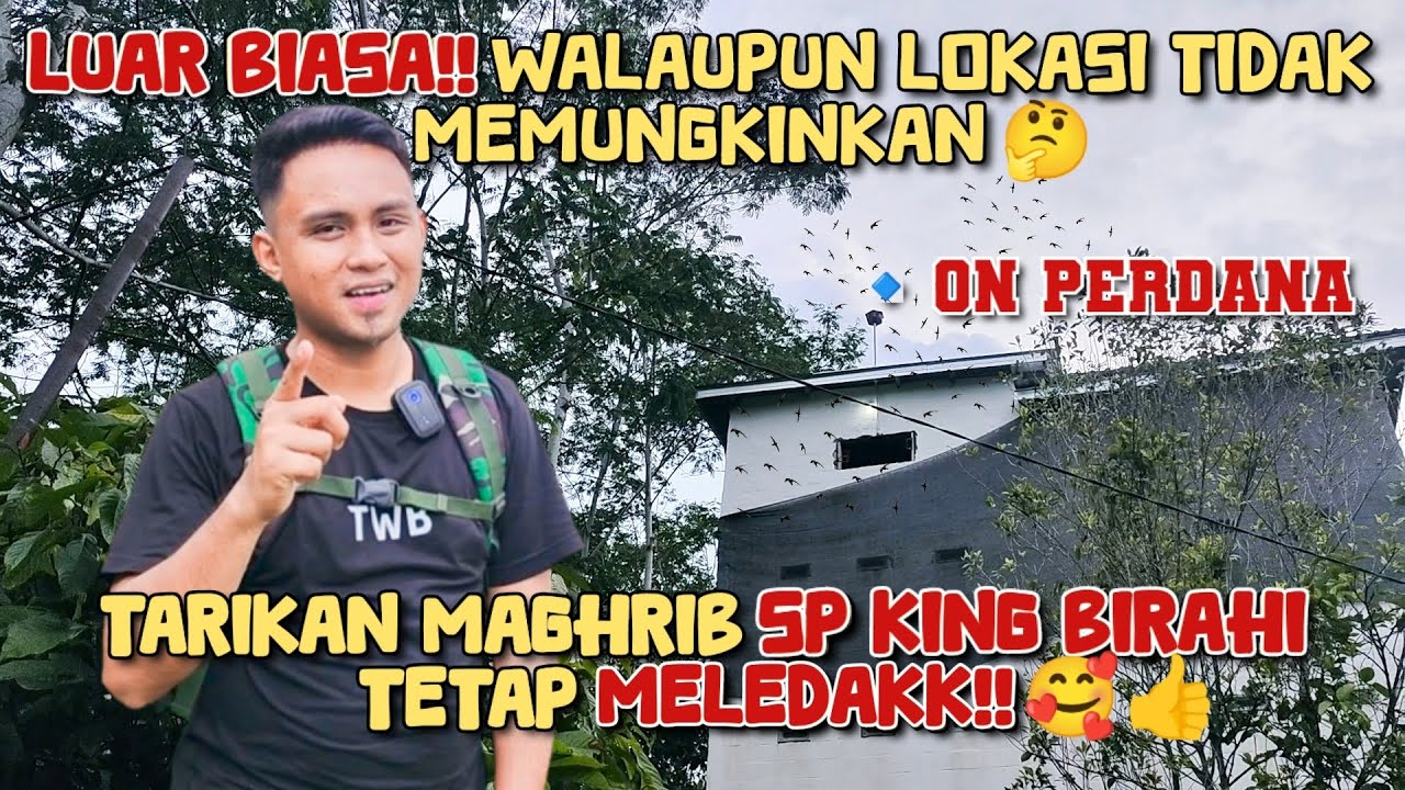Luwu Timur Kembali viral😱  ON perdana! tarikan Maghrib Sp king birahi Meledak || Full audax👍