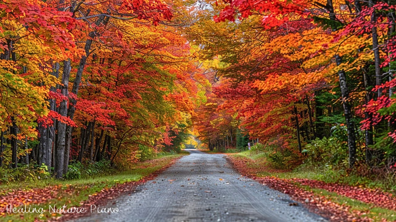 Reduce Anxiety Instantly 🍂 Healing Music for Health & Calming the Nervous System, Sleep music #2