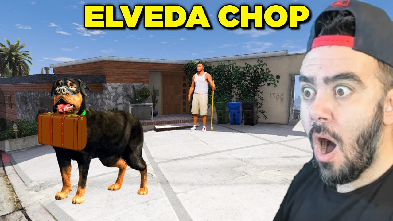 FRANKLIN CHOPU EVDEN KOVDU YENI KÖPEK ALDI - GTA 5 MODS