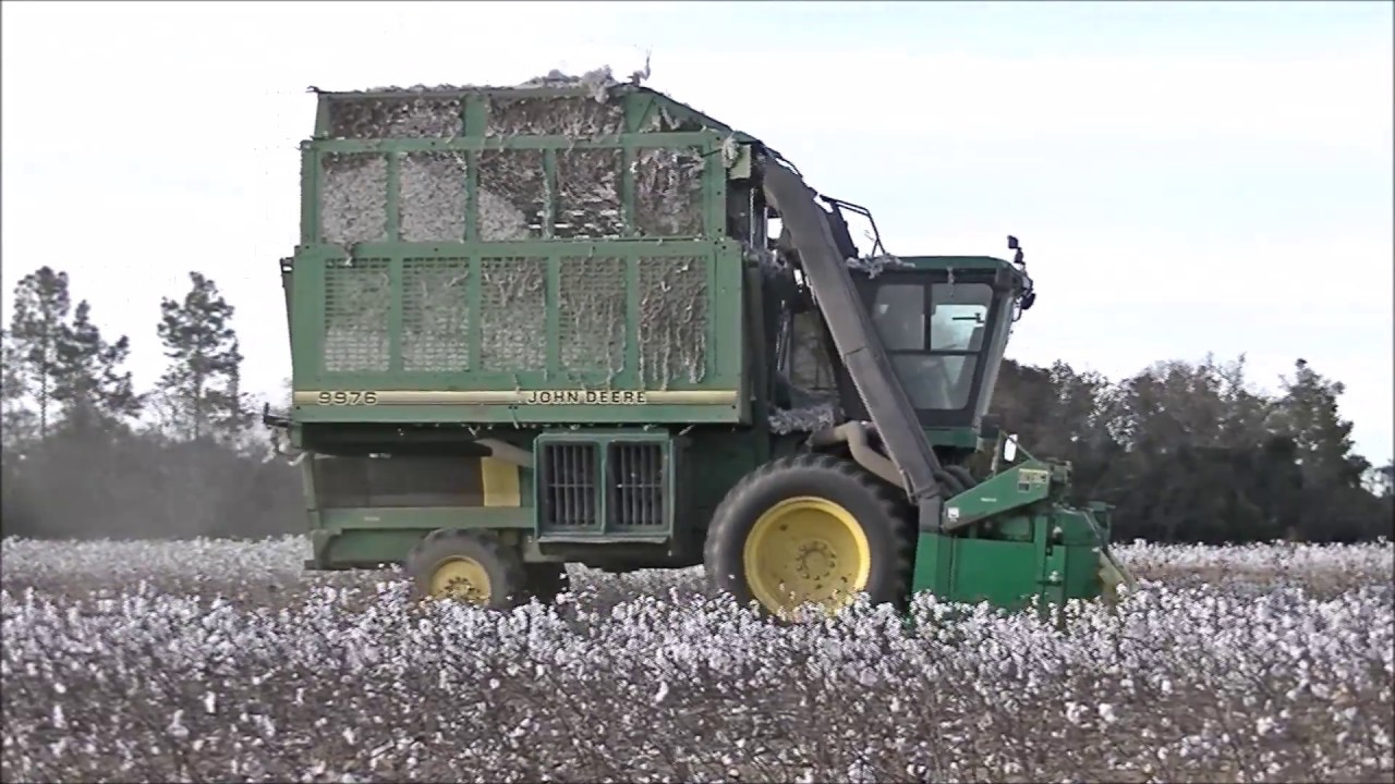 DAVIS FARMS 2017 COTTON HARVEST 4