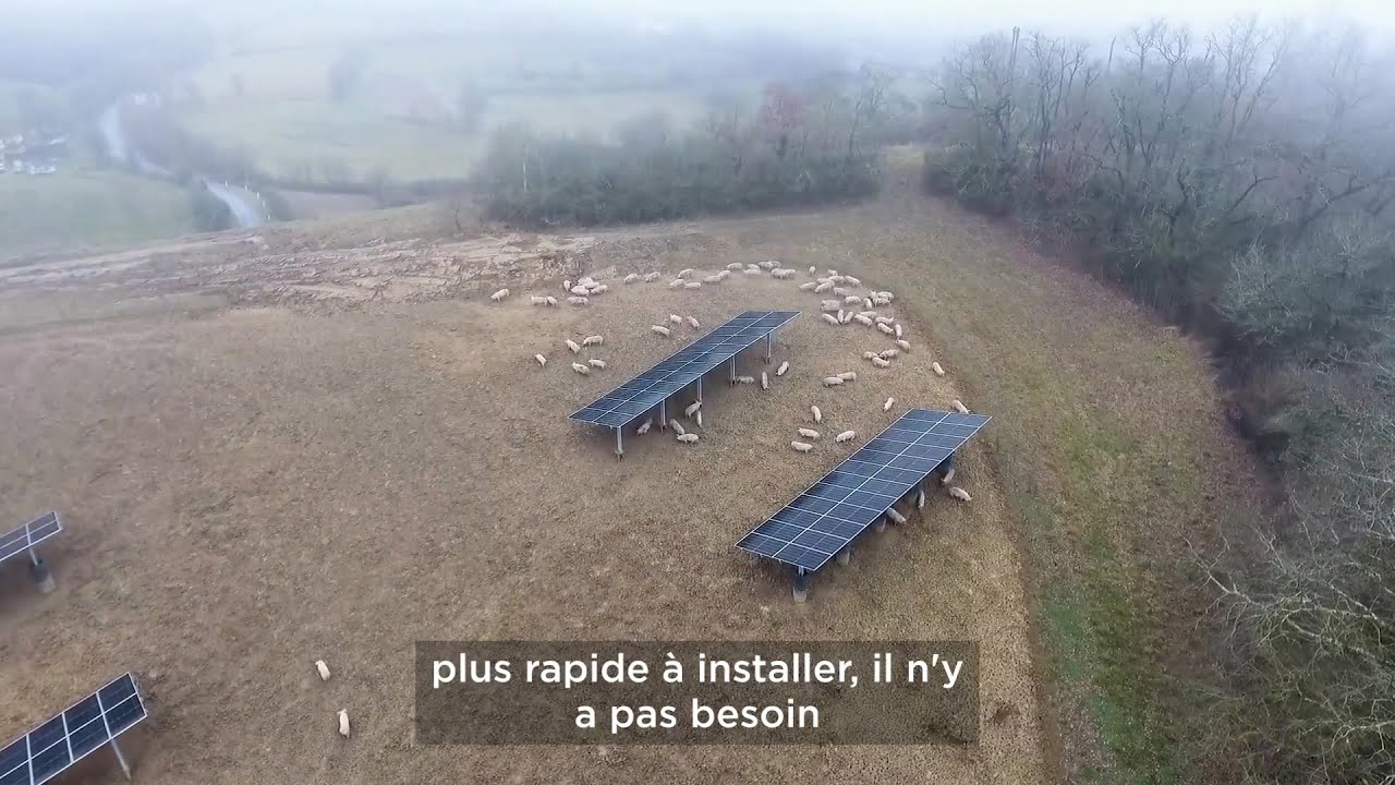 Reportage démonstrateur agrivoltaïque - Elevage porcin de JM Fabaron