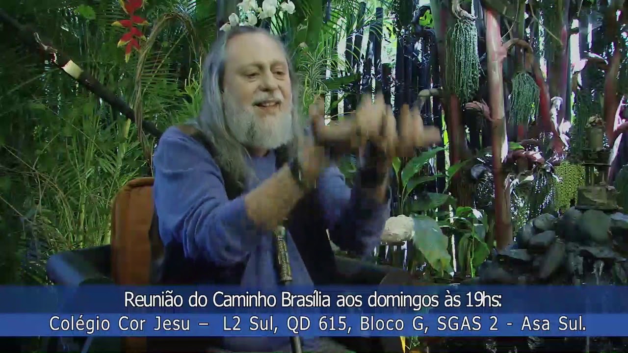 Qual a diferença entre a 