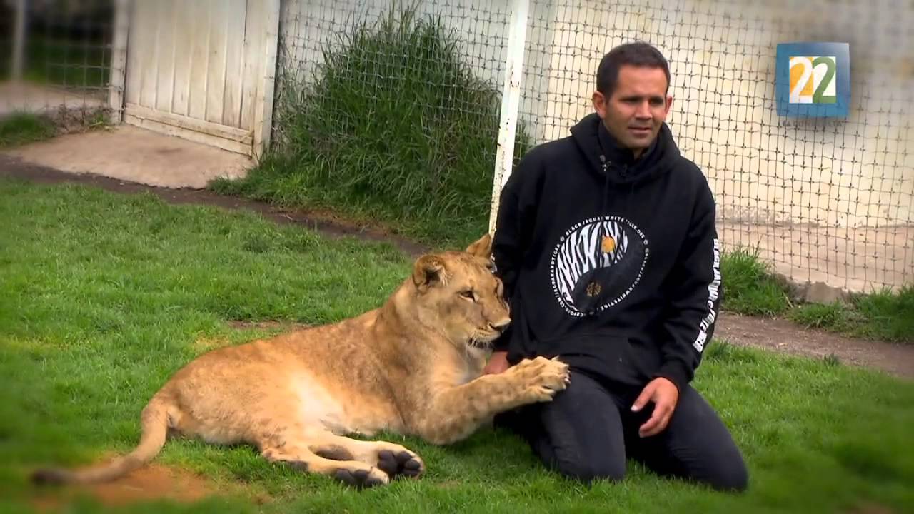 INSTINTO ANIMAL T3 P7 REPORTAJE Santuario de grandes felinos Ajusco.