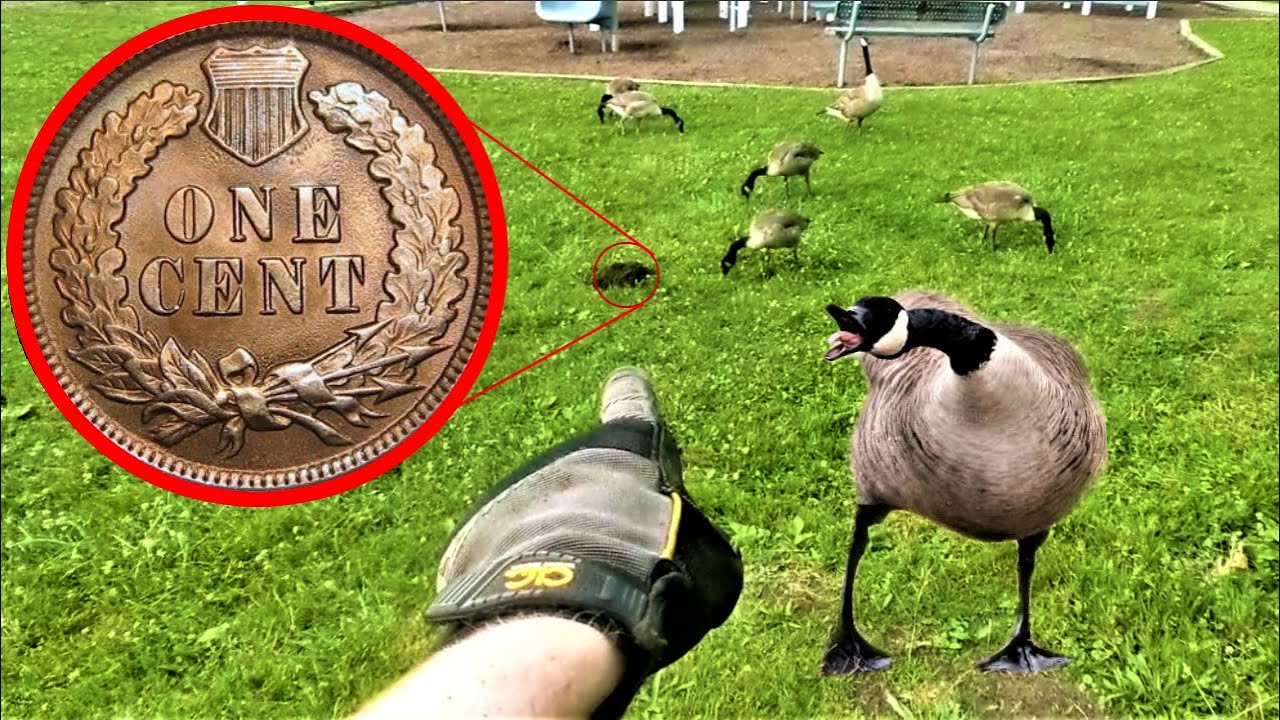 I found a SUPER OLD COIN in the park, then got ATTACKED by VICIOUS GEESE! | The Ultimate Coin Hunt