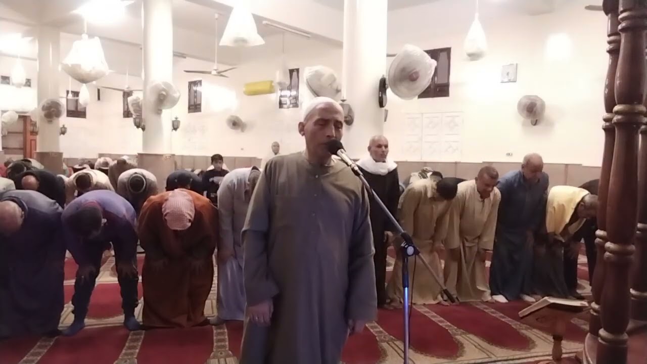 ١٧ يناير ٢٠٢٦
