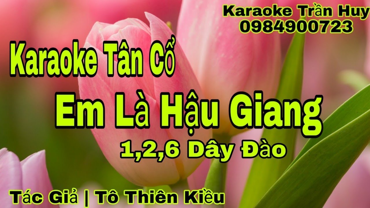 Karaoke Tân Cổ | Em Là Hậu Giang 1,2,6 Dây Đào | Beat Trần Huy 2020