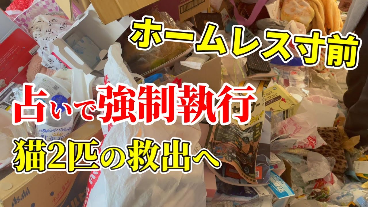 ホームレス寸前！明日強制執行されるので猫を助けてください②：７７７