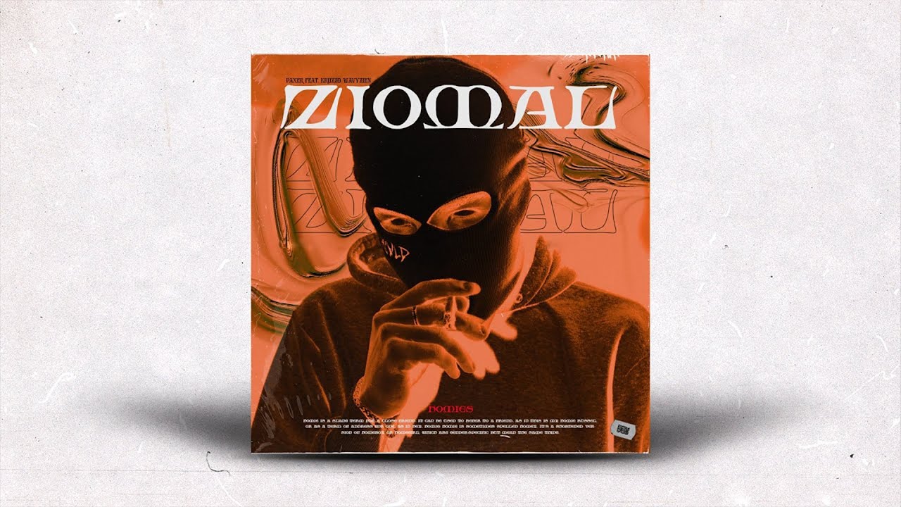 PAXER - Ziomal (feat. Kruzzo, wavyzien) (AUDIO)