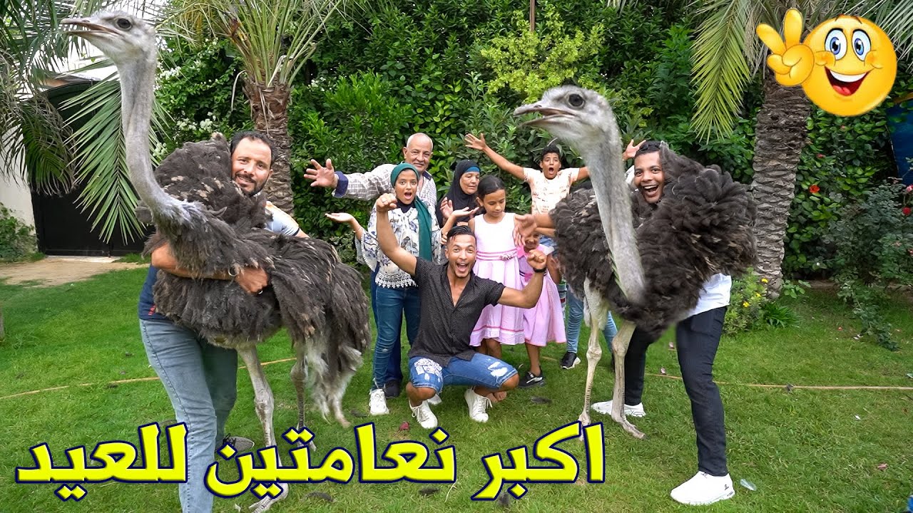 فاجئناهم باضحية العيد 🤫أكبر نعامتين افريقي😲ردة فعلهم تجنن😳😱