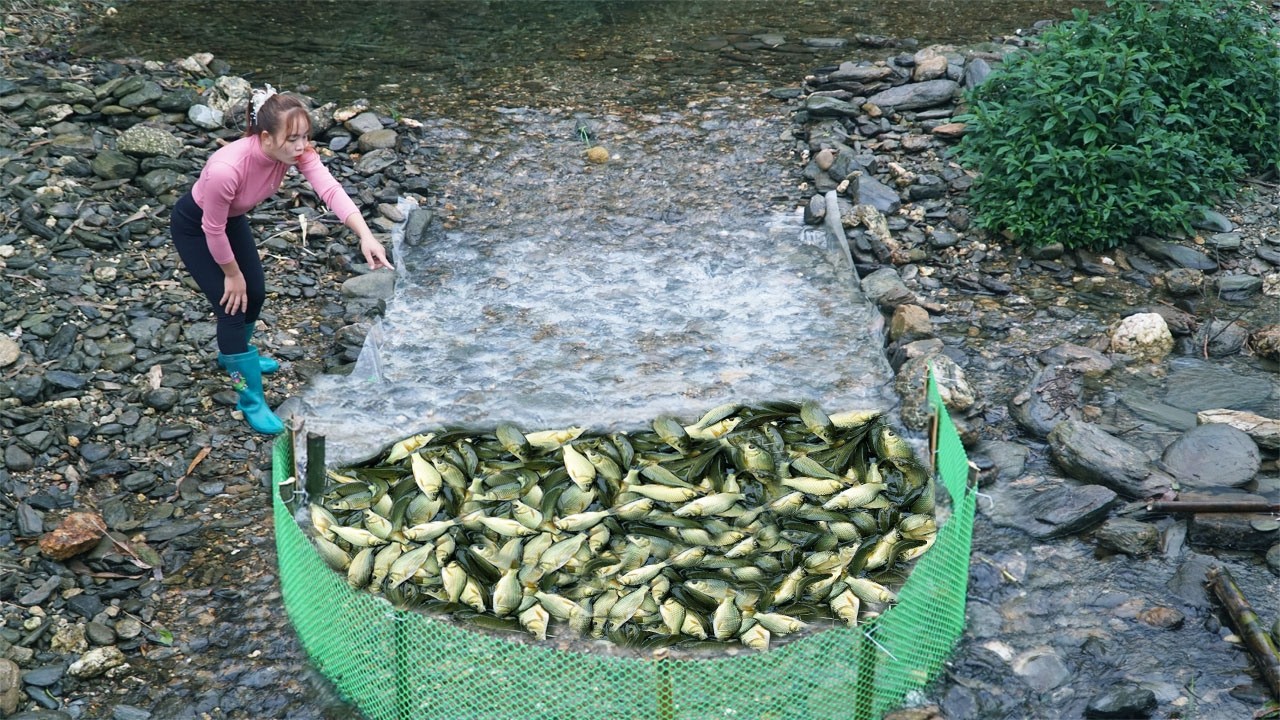 FULL VIDEO: I Have Caught Fish With Different Types Of Traps, Harvesting Many Fish Go To Market Sell