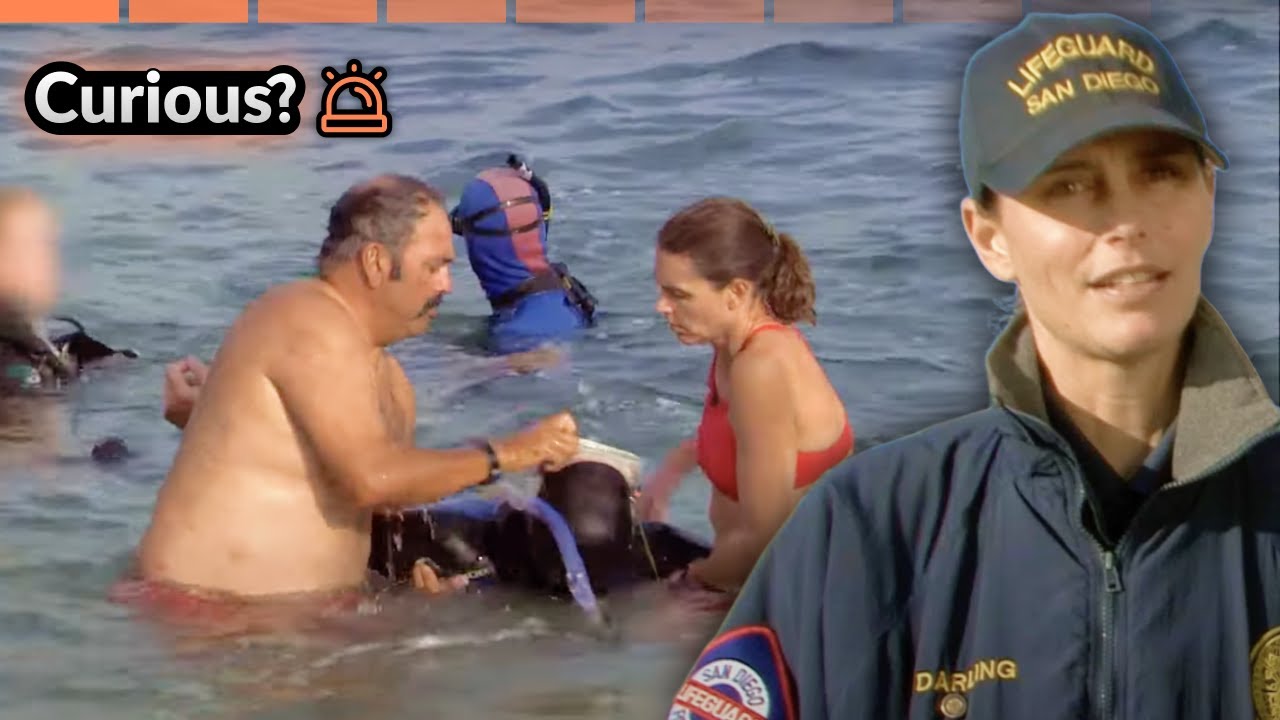 Rescue Mission At La Jolla | Lifeguard