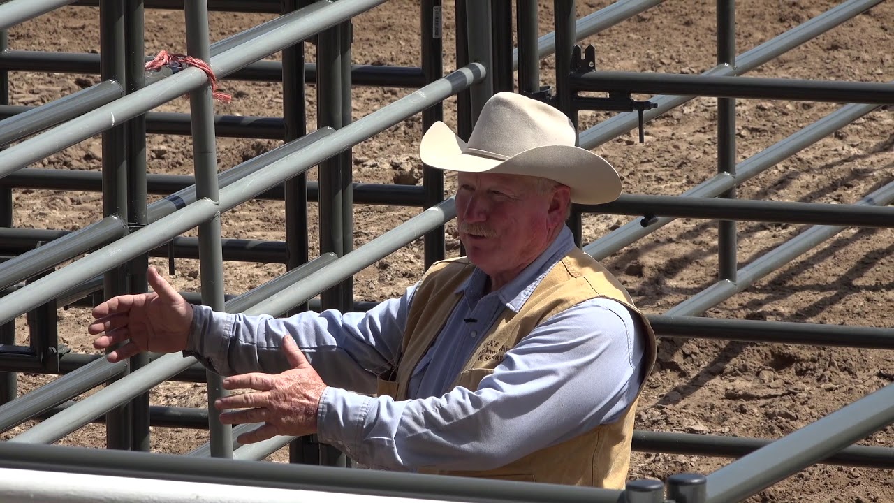 Ron Gill Stockmanship - Hemphill Co. Beef Conference - Loading Cattle in a Trailer from a Bud Box