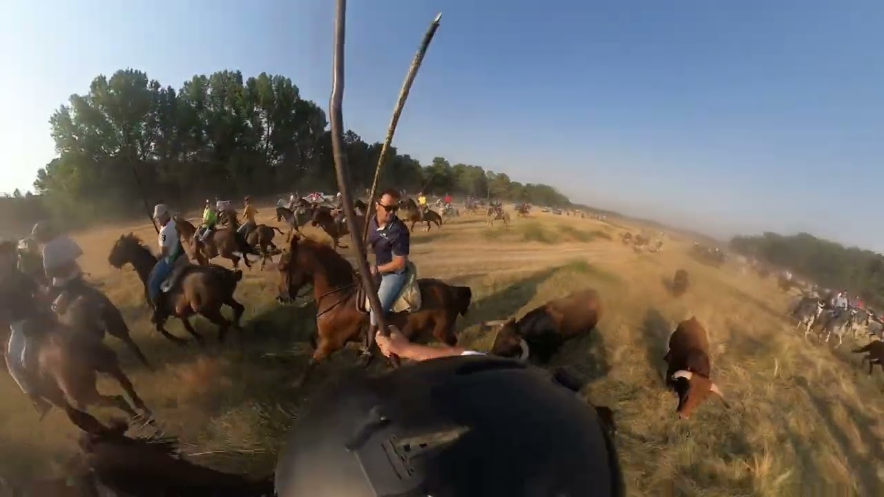 SALIDA 1º ENCIERRO CANTALEJO 2025 // A CABALLO CON GOPRO