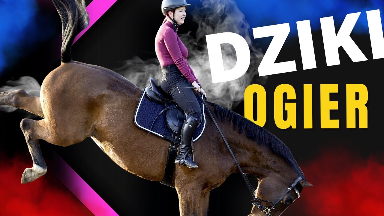 SPADŁAM Z TICO 😭 | Trening skokowy | Ukradłam sprzęt jeździecki?