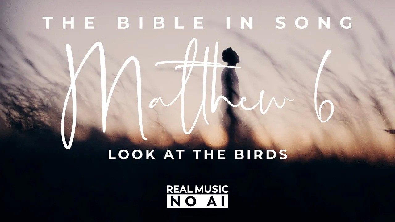 Matthew 6 - Look At the Birds || Bible in Song || ❤️ NO AI! ||  #62