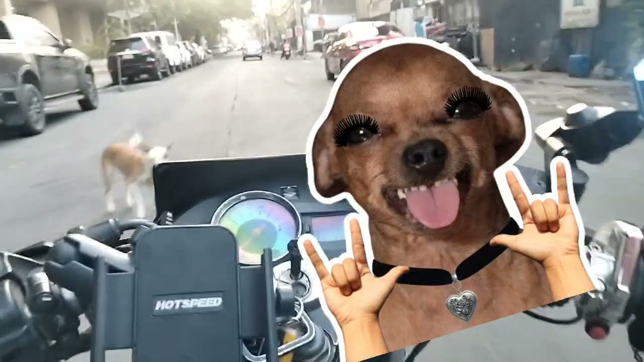 Pinakabahan lang ako ng Aso 🐕🐕