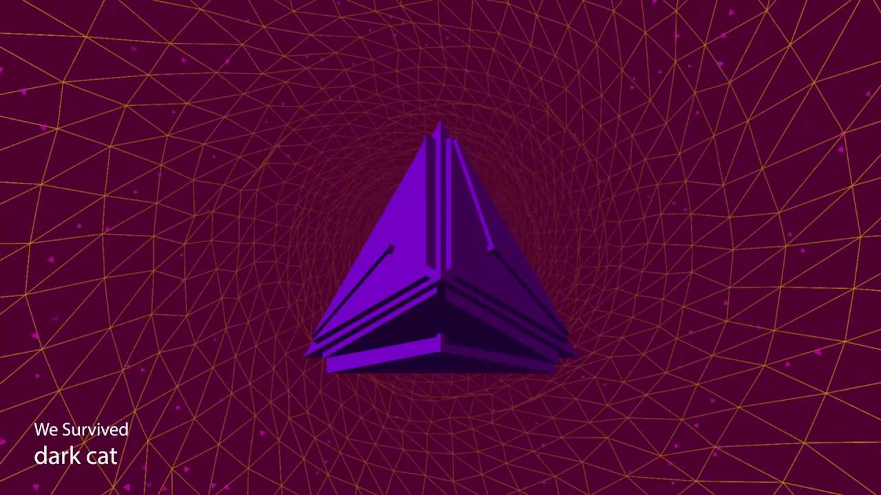 dark cat -  WE SURVIVED (Remix)